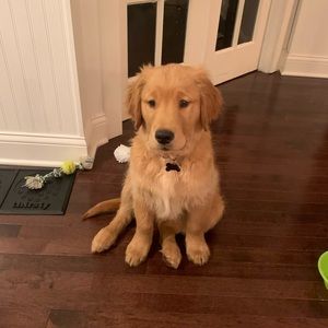 Meet your Posher, Emma